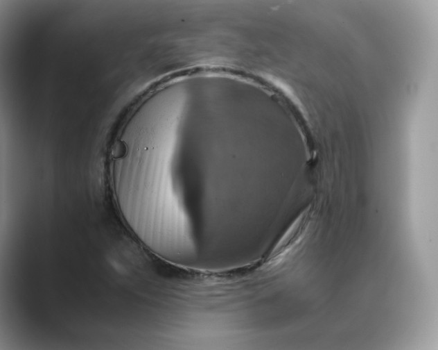 X0000089731263200707051732