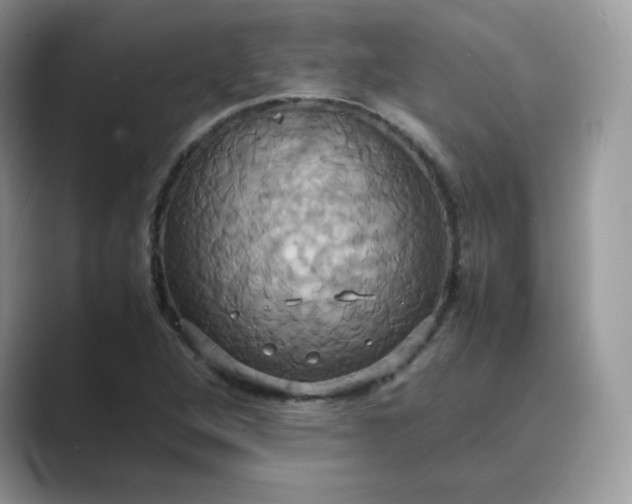 X0000089731264200707051732