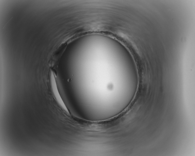 X0000089731265200707051732