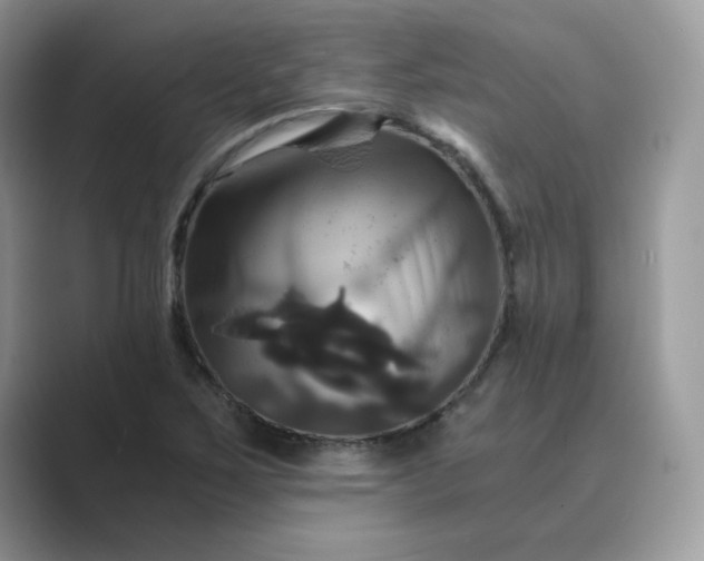 X0000089731267200707051732