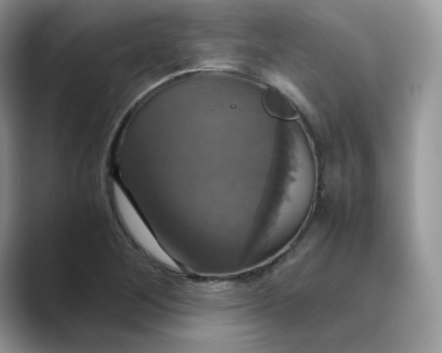 X0000089731268200707051732