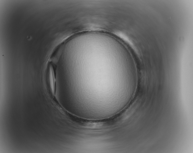X0000089731269200707051732