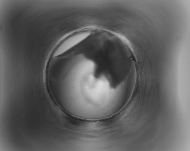 X0000089731279200707051732