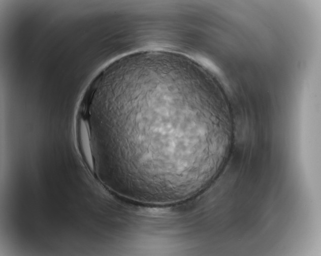 X0000089731280200707051732