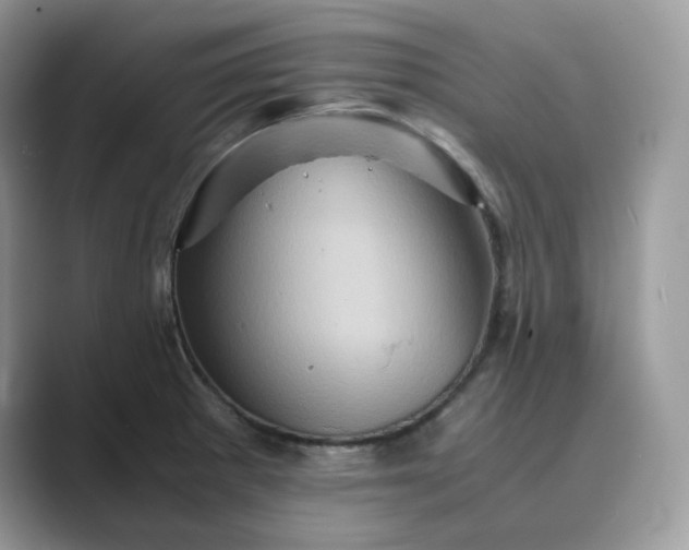 X0000089731281200707051732