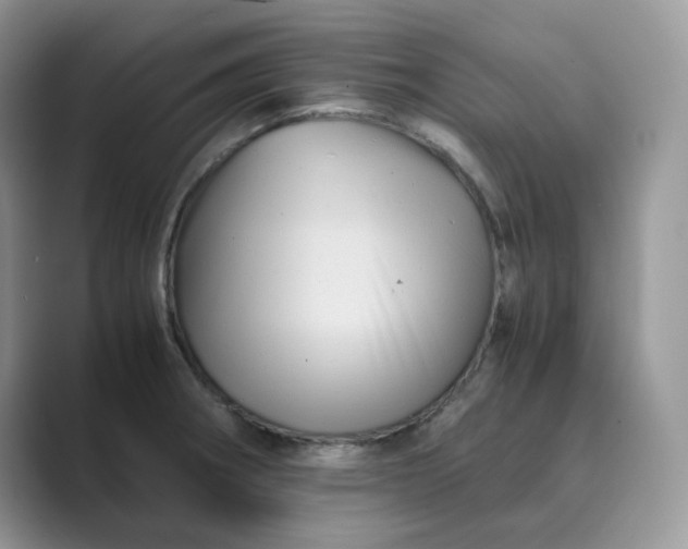 X0000089731282200707051732