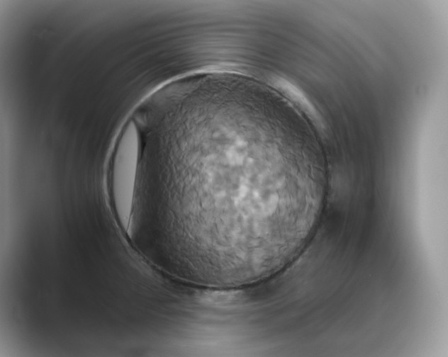 X0000089731284200707051732
