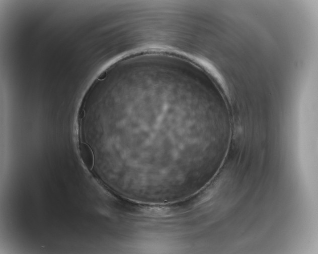 X0000089731287200707051732