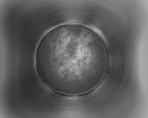 X0000089731288200707051732