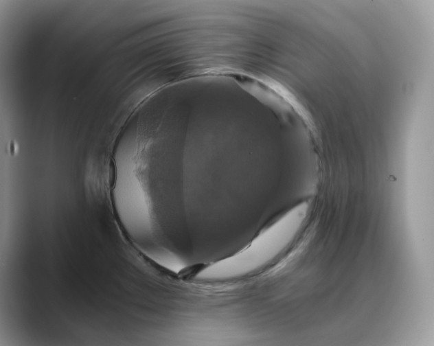 X0000089731289200707051732