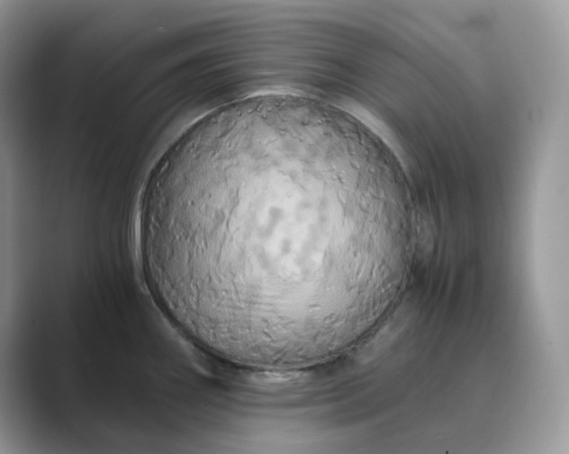 X0000089731290200707051732