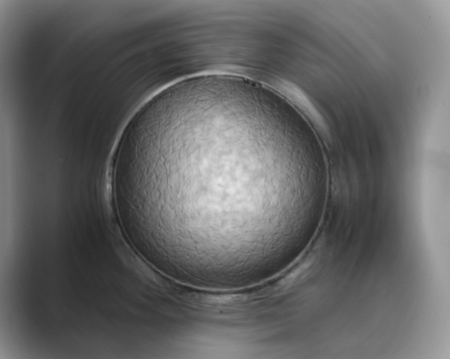 X0000089731292200707051732