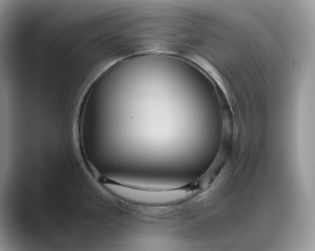 X0000089731293200707051732