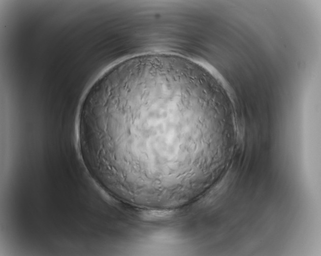 X0000089731294200707051732