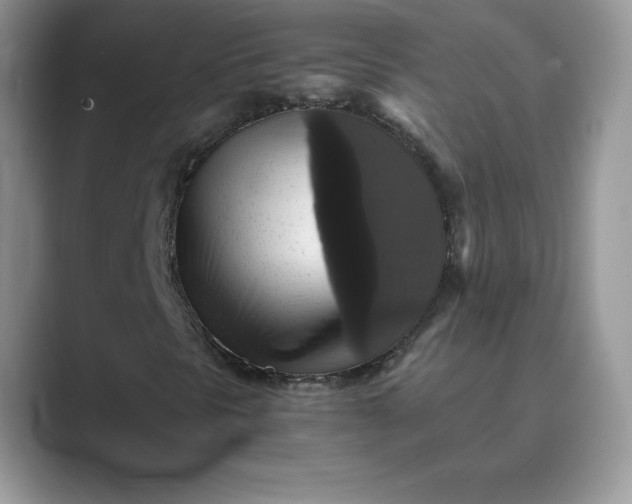 X0000089731297200707051731
