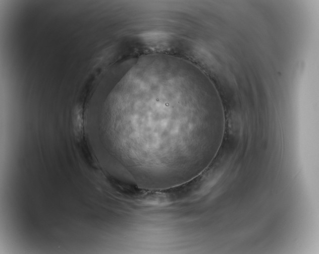 X0000089731298200707051731