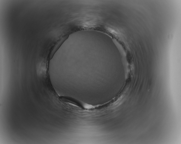 X0000089731300200707051731