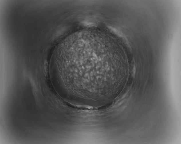 X0000089731301200707051731