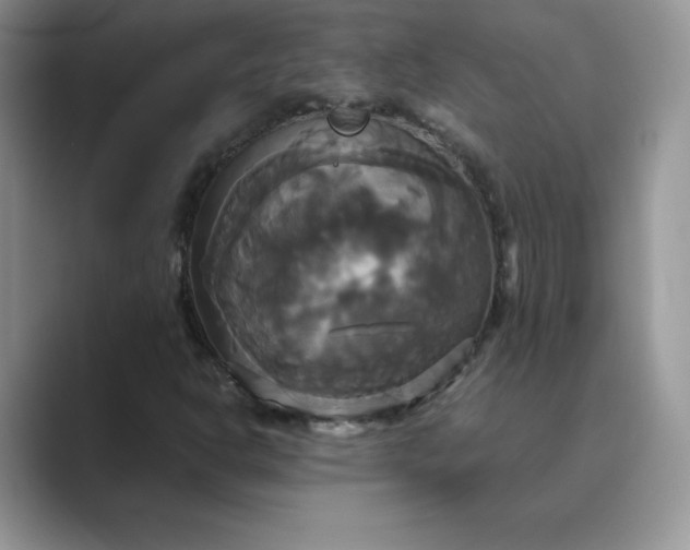 X0000089731302200707051731