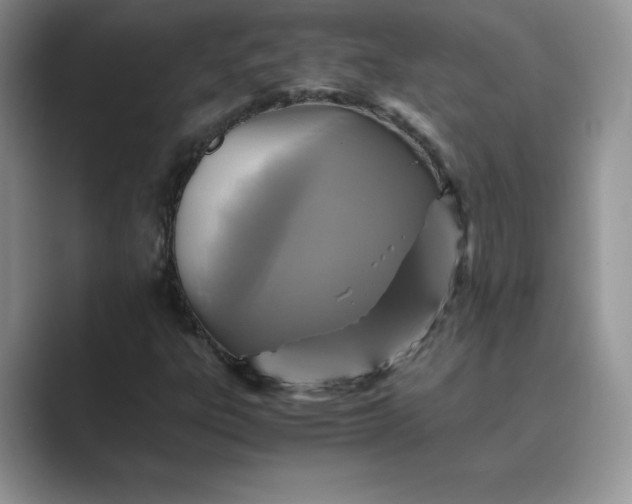 X0000089731303200707051731
