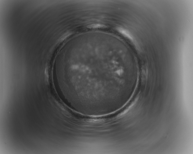 X0000089731305200707051731