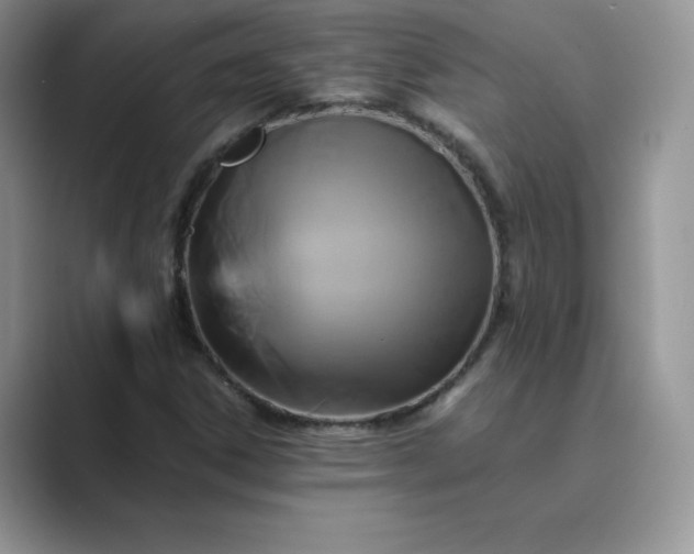 X0000089731306200707051731