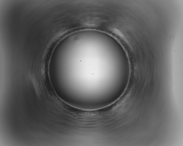 X0000089731307200707051731