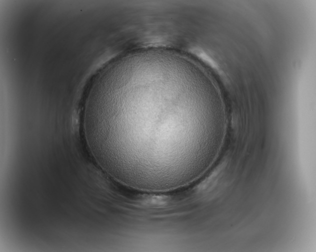 X0000089731309200707051731