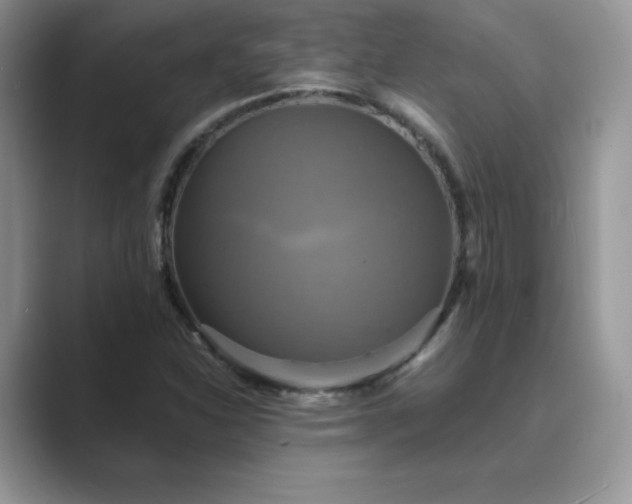 X0000089731310200707051731