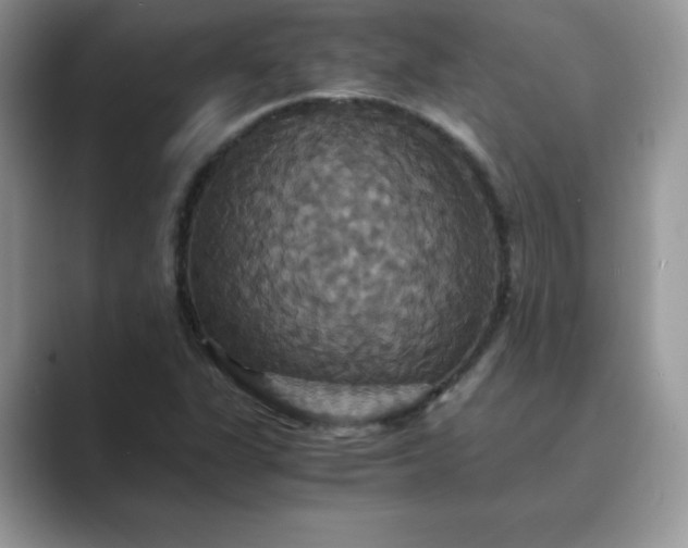 X0000089731311200707051731
