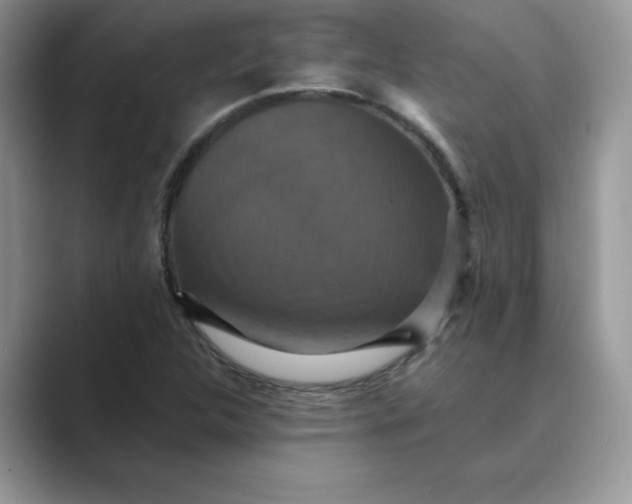 X0000089731312200707051731