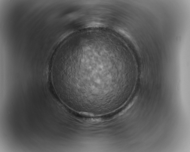 X0000089731313200707051731