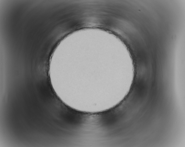 X0000089731314200707051732