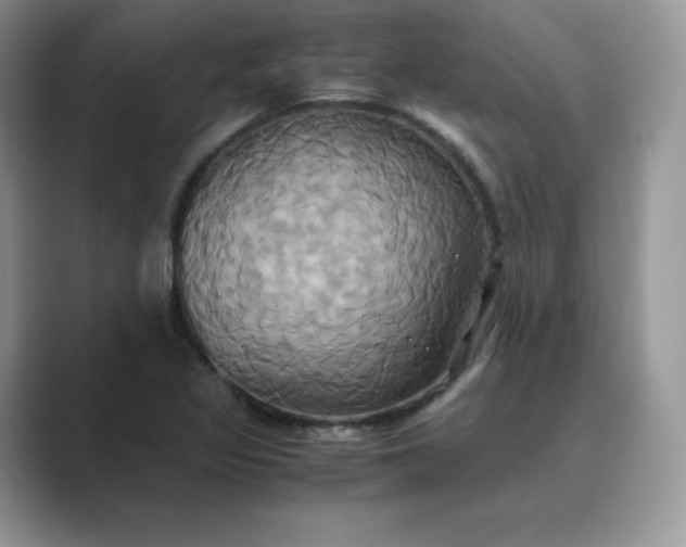 X0000089731317200707051732