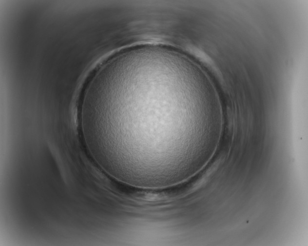 X0000089731318200707051732