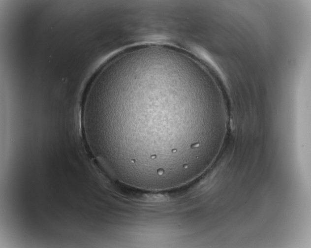 X0000089731320200707051732