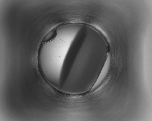 X0000089731325200707051732