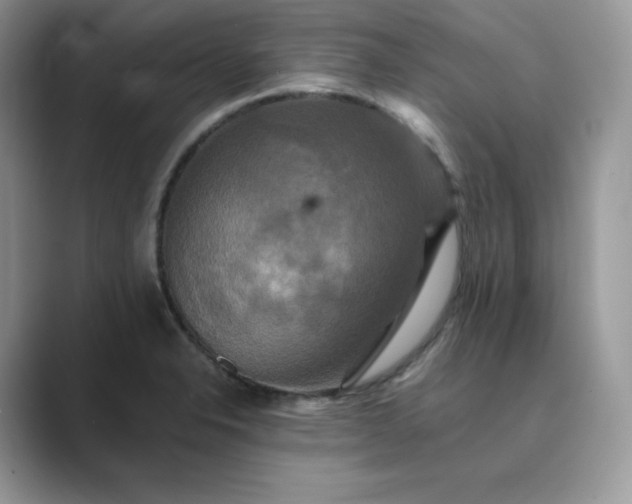 X0000089731326200707051732