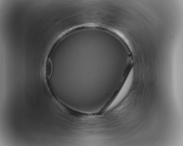 X0000089731327200707051732
