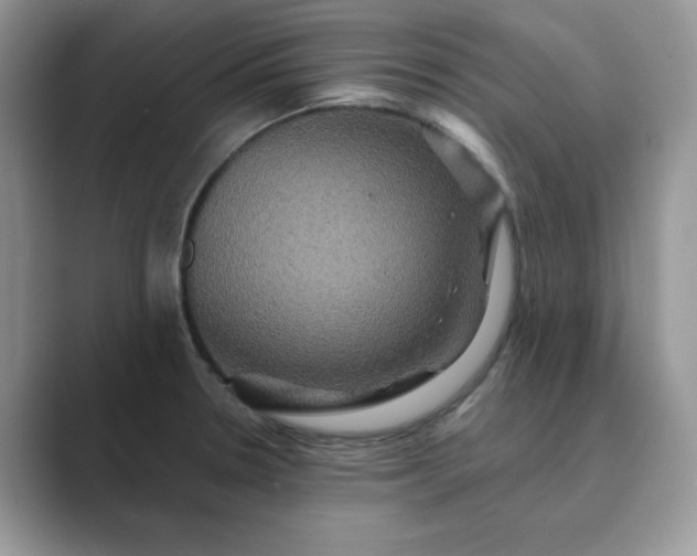X0000089731330200707051732