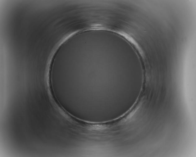 X0000089731333200707051732