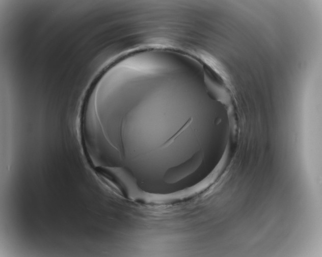 X0000089731334200707051732