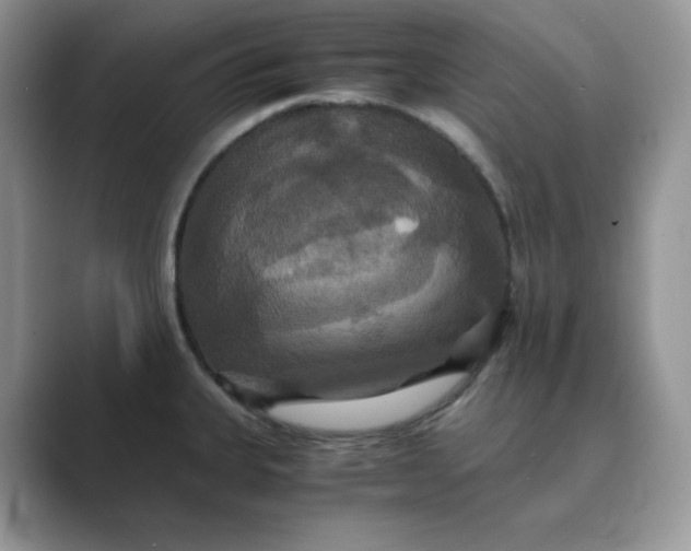 X0000089731335200707051732