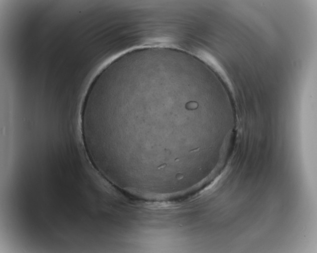 X0000089731336200707051732