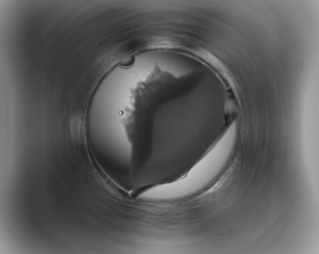 X0000089731337200707051732