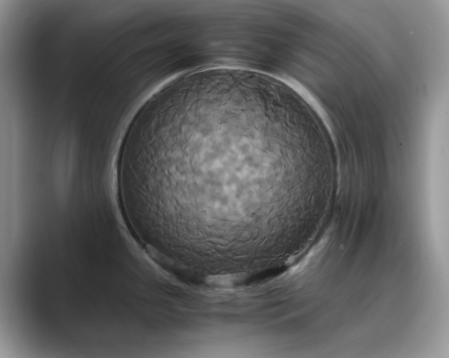 X0000089731341200707051732
