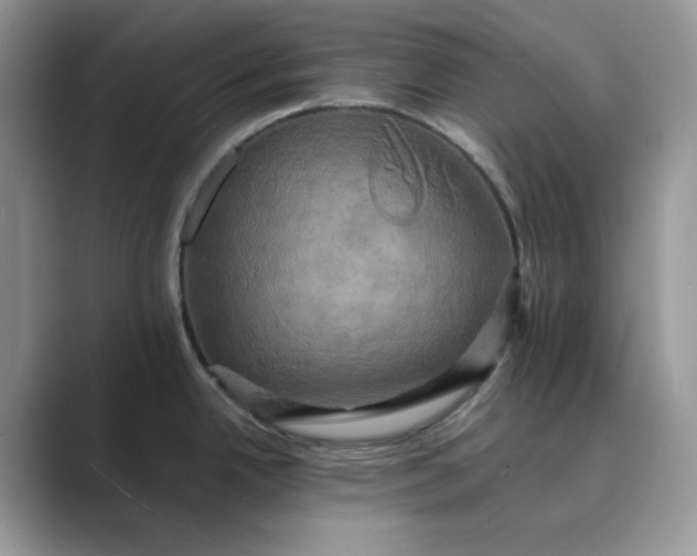 X0000089731342200707051732