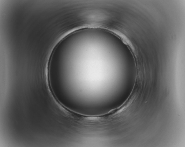 X0000089731343200707051732