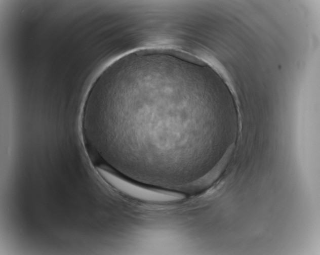 X0000089731344200707051732