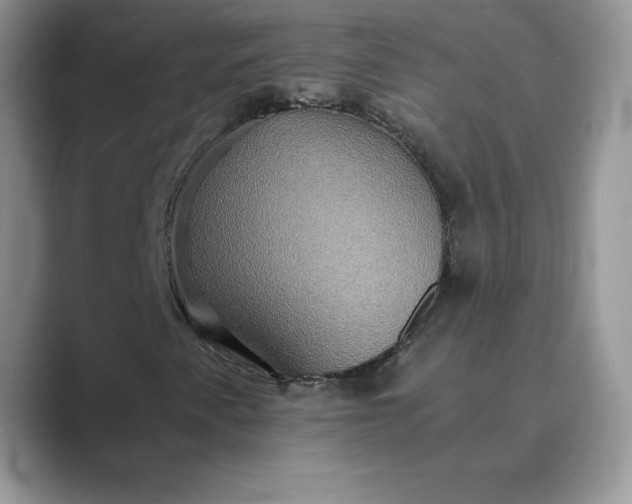 X0000089731345200707051731